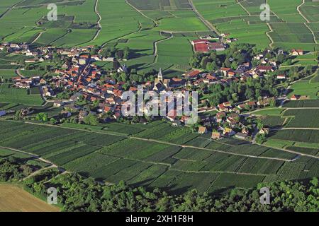 France, Marne, ville-Dommange village de vignoble de champagne, le village est situé sur la montagne de Reims, (photo aérienne), Banque D'Images