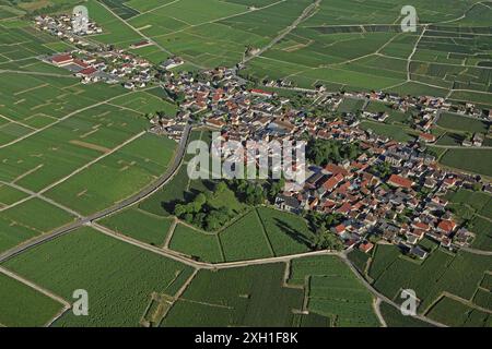 France, Marne, Oger village dans le vignoble de Champagne, villes et villages accrédite fleur (photo aérienne) Banque D'Images