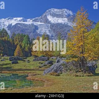 France, Savoie, Sainte-Foy-Tarentaise, le Monal, hameau rustique de montagne face au Mont pourri, dans le massif de la Vanoise Banque D'Images