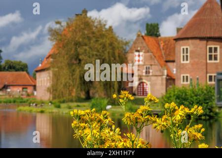 Fleurs jaunes devant un château historique avec des arbres et un lac au premier plan, Raesfeld, westphalie, allemagne Banque D'Images