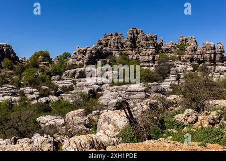 Parc national El Torcal de Antequera, Andalousie, Espagne Banque D'Images