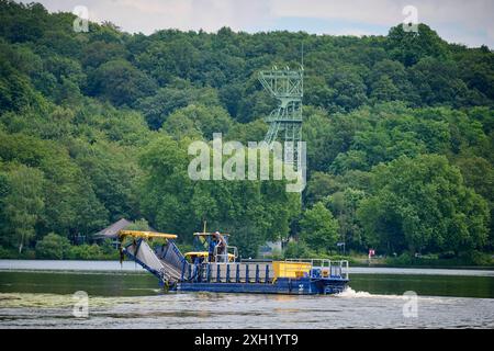 Anmähen gegen die Wasserpest Auf dem Essener Baldeneysee mäht der Ruhrverband mit einem Mähboot, gegen Elodea eine wuchernde Wasserpflanze die auch Wasserpest genannt wird, an. Veröffentlichungen nur für redaktionelle Zwecke. Foto : FotoPrensa Essen NRW *** tondre contre l'herbe à eau sur le lac Baldeney à Essen, le Ruhrverband utilise un bateau de tonte pour tondre contre Elodea, une plante aquatique proliférante également connue sous le nom d'herbe à eau. Banque D'Images