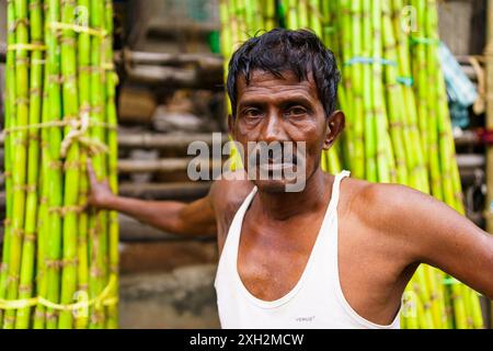 Kolkata, Inde - 2 novembre 2023 : un ouvrier salarié journalier travaille avec des canne à sucre dans le centre-ville. Concept d'emplois informels et laboratoire noir Banque D'Images