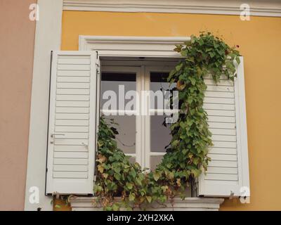 Charmante fenêtre italienne avec lierre luxuriante : gros plan horizontal de la façade pastel avec cadre de fenêtre blanc et volets ouverts à Olbia, Sardaigne. Banque D'Images