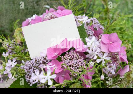 Bouquet d'été avec hortensias roses, soapwort, origan et carte avec espace copie Banque D'Images