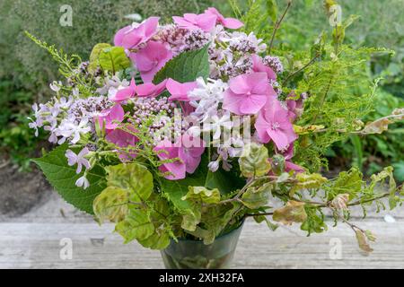 Bouquet d'été avec hortensias roses, soapwort et origan Banque D'Images