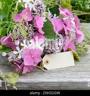 Bouquet d'été avec hortensias roses, soapwort, origan et carte avec espace copie Banque D'Images