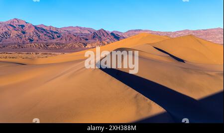 Coucher de soleil à Sand Dunes - coucher de soleil printanier sur les dunes de sable lisses et sinueuses qui s'élèvent devant les montagnes violettes escarpées. Parc national de la vallée de la mort, CALIFORNIE Banque D'Images