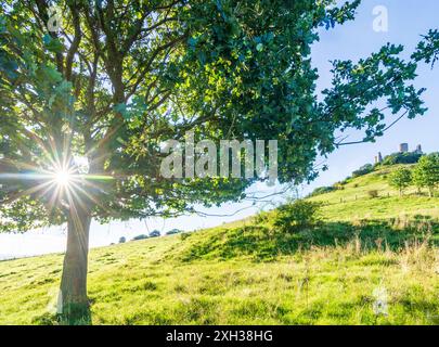 Warburg : Desenberg montagne et château, paysage Warburger Börde à Teutoburger Wald, Rhénanie-du-Nord-Westphalie, Allemagne Banque D'Images