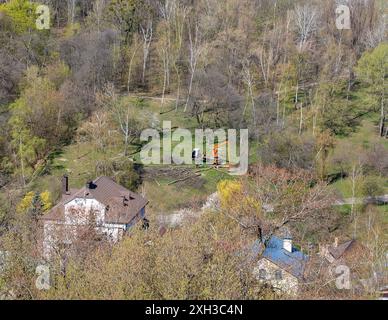 Travail sur l'abattage de vieux arbres morts secs dans un parc de la ville. Vue de dessus. Banque D'Images