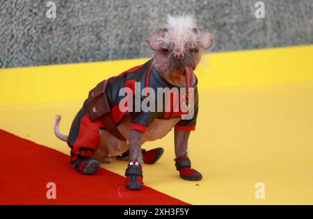 Londres, Royaume-Uni. 11 juillet 2024. Peggy participe à l'événement des fans britanniques « Deadpool & Wolverine » à l'Eventim Apollo de Londres. Crédit : SOPA images Limited/Alamy Live News Banque D'Images
