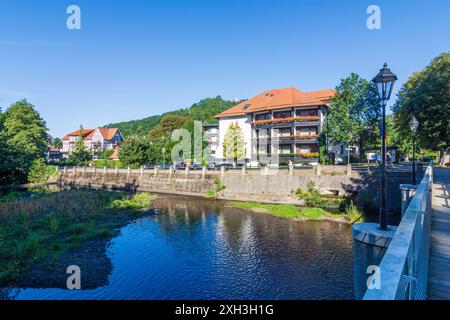 Bad Lauterberg im Harz : rivière Oder dans le Harz, Niedersachsen, basse-Saxe, Allemagne Banque D'Images