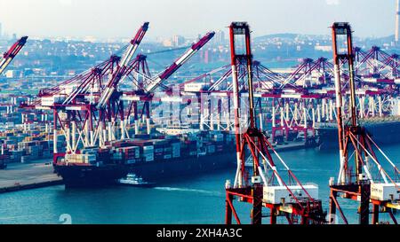 QINGDAO, CHINE - 11 JUILLET 2024 - des conteneurs sont chargés et déchargés au terminal à conteneurs de Qianwan du port de Qingdao, port de Shandong, Chine, 11 juillet Banque D'Images