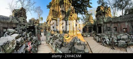 Temple Ta Prohm, un monastère bouddhiste Mahayana construit à la fin du XIIe siècle pour le roi khmer Jayavarman VII, Cambodge. Banque D'Images