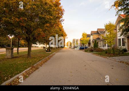 Rue de banlieue drapée en automne au coucher du soleil - lumière dorée filtrant à travers les feuilles changeantes - cadre de quartier tranquille avec maisons résidentielles bordées. Banque D'Images