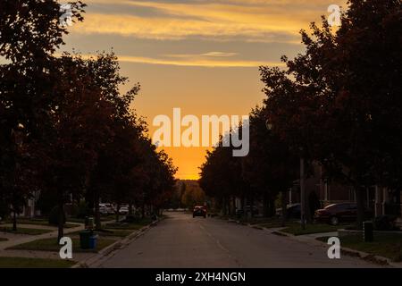 Coucher de soleil illuminé rue de banlieue bordée d'arbres automnaux - lueur d'heure d'or illumine un ciel clair - quartier résidentiel au crépuscule - SC urbain tranquille Banque D'Images