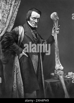 Sir Richard Owen KCB FRMS FRS (1804 – 1892) avec des fossiles d'os de jambe d'un moa géant, un oiseau éteint de Nouvelle-Zélande, en 1846. Owen était un biologiste anglais, anatomiste comparatif et paléontologue qui était un opposant à la théorie de la sélection naturelle de Charles Darwin. Il est également connu aujourd'hui pour avoir inventé le mot dinosauria (d'où nous obtenons dinosaure). Banque D'Images