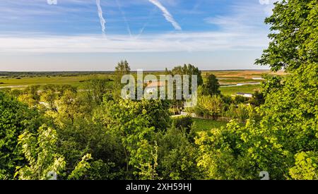 Vue panoramique sur la rivière Biebrza et les zones humides du parc national de Biebrzanski vu de la ville de Goniadz dans la région de Podlaskie en Pologne Banque D'Images