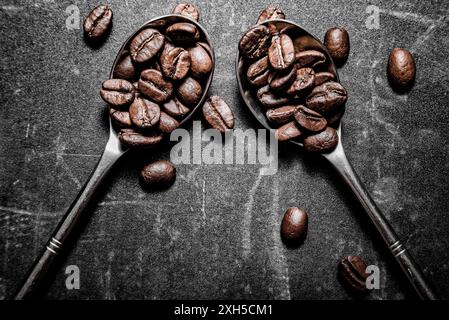 Deux cuillères en argent sont remplies de grains de café brun brillant sur un fond sombre et texturé. Plusieurs grains de café en vrac sont dispersés autour Banque D'Images