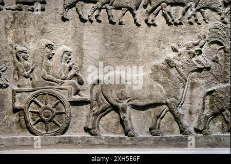 8 e panneau assyrien C. BC, Palais central, Nimrud, Irak. Les civils quittent la ville pour se réinstaller par la force. British Museum, Londres Banque D'Images