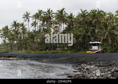 Lifeguard tower and palm trees overlooking Punaluu Black Sand Beach Stock Photo