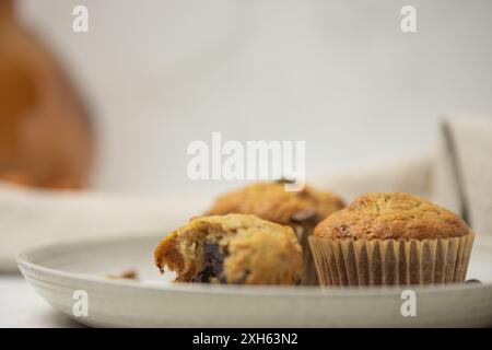 Three muffins on a plate with a brown vase in the background Stock Photo