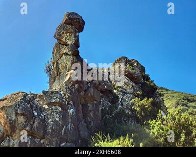 Formation rocheuse dans le parc national de Garajonay, les îles Canaries, la Gomera, le parc national de Garajonay Banque D'Images