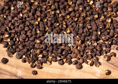 Poivre du Sichuan, poivre de Szetchwan, poivre d'anis, poivre de Sprice, poivre chinois, poivre japonais, frêne épineuse japonaise (Zanthoxylum piperitum), séché fr Banque D'Images