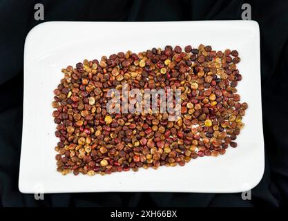 Sumach sicilien (Rhus coriaria), fruits secs sur une assiette Banque D'Images