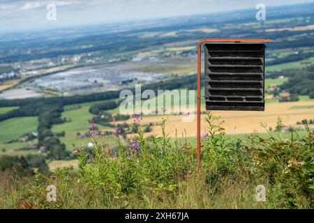 Piège à phéromones pour le coléoptère européen de l'écorce de l'épinette à la lisière de la forêt à beskids de silésie morave Banque D'Images