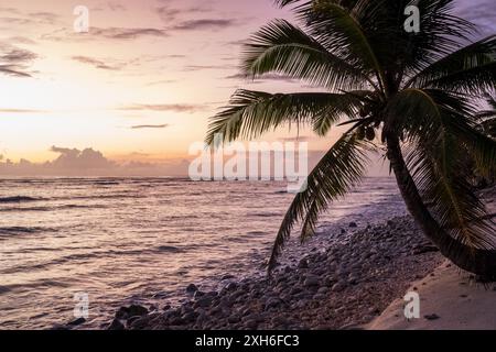 Le soleil se couche sur l'océan Indien, vu d'une plage bordée de cocotiers sur les îles Cocos. Banque D'Images