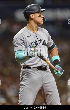 Petersburg, Floride, États-Unis. 11 juillet 2024. Aaron Judge (99), outfielder des Yankees de New York, se place sur la plaque pour sa batte lors d'un match de la MLB contre les Rays de Tampa Bay le vendredi 28 juin 2024 au Tropicana Field. Les rayons battent les Yankees 5-4. (Crédit image : © Kim Hukari/ZUMA Press Wire) USAGE ÉDITORIAL SEULEMENT! Non destiné à UN USAGE commercial ! Banque D'Images