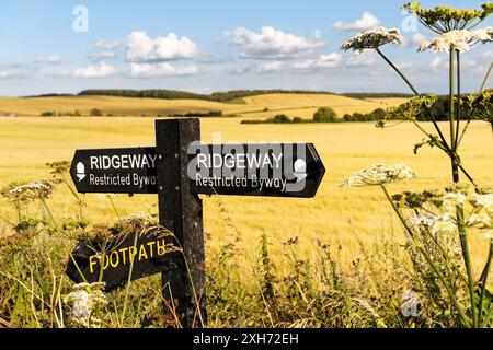 Le Ridgeway. Inscrivez-vous sur 5000 ans chemin longue distance vu entre Château et Uffington Wayland's Smithy. Oxfordshire, Angleterre Banque D'Images