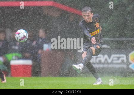 Delden, pays-Bas. 12 juillet 2024. DELDEN, PAYS-BAS - 12 JUILLET : lors du match amical de pré-saison entre le FC Twente et le FC Nordsjaelland à Rood Zwart le 12 juillet 2024 à Delden, pays-Bas. (Photo de René Nijhuis/Orange Pictures) crédit : Orange pics BV/Alamy Live News Banque D'Images