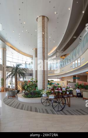 Réception principale et salle d'attente. Hôpital pour femmes et enfants Danat Al Emarat, Abu Dhabi, Émirats arabes Unis. Architecte : HKS Architects Limited, 20 Banque D'Images