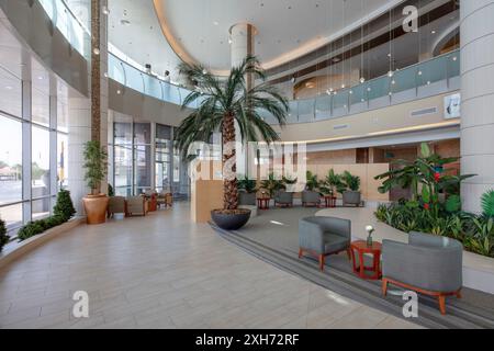 Réception principale et salle d'attente. Hôpital pour femmes et enfants Danat Al Emarat, Abu Dhabi, Émirats arabes Unis. Architecte : HKS Architects Limited, 20 Banque D'Images