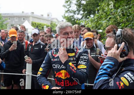 Goodwood, West Sussex, Royaume-Uni 12 juillet 2024. David Coulthard, commentateur de F1 et ancien pilote au Goodwood Festival of Speed – « Horseless to Hybrid – Revolutions in Power », à Goodwood, West Sussex, Royaume-Uni. © Malcolm Greig/Alamy Live News Banque D'Images