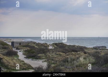 Skagen, Danemark. 01 mai 2024. Une vue générale du promontoire de Grenen avec des restes de bunker de la seconde Guerre mondiale est vue à Skagen, Danemark, le 1er mai 2024. Pendant la seconde Guerre mondiale, les forces nazies allemandes d'occupation convertissent le point le plus septentrional du Danemark - le promontoire de Grenen - en un point fort fortifié. Ce point fort porte le nom de code Hamburg. Le musée Skagen Bunker est en cours d'établissement dans un ancien bunker hospitalier (type Regelbau 638). (Photo de Michal Fludra/NurPhoto) crédit : NurPhoto SRL/Alamy Live News Banque D'Images