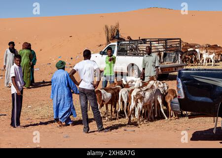 Touareg au marché de la chèvre au Sahara en Algérie Banque D'Images