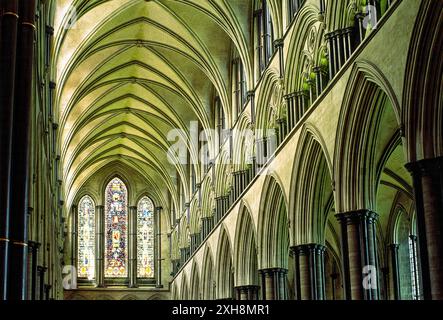 La nef de la cathédrale de Salisbury, Wiltshire, Angleterre. Arch et détails colonnade Banque D'Images