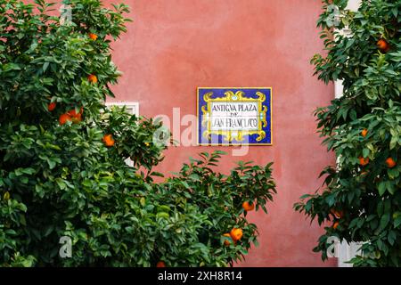 Séville, Espagne. 5 février 2024 - panneau Antigua Plaza de San Francisco encadré par des orangers Banque D'Images