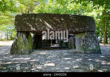 La Roche aux Fées. Dolmen préhistorique massive près de ville de Janze. L'un des plus beaux monuments mégalithiques de Bretagne Banque D'Images