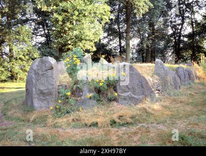 Un dolmen ou un lit à chants est un type de tombeau mégalithique à chambre unique avec des mégalithes verticaux soutenant une grande pierre angulaire horizontale plate dans le provi hollandais Banque D'Images