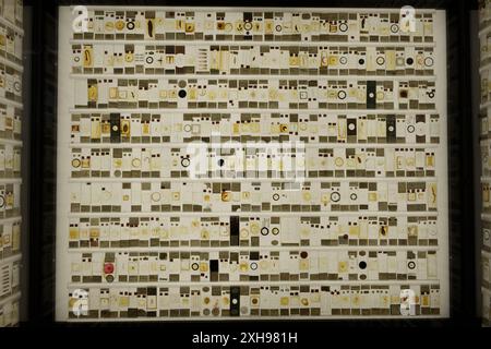Lames de microscope exposées au Grant Museum of Zoology Banque D'Images