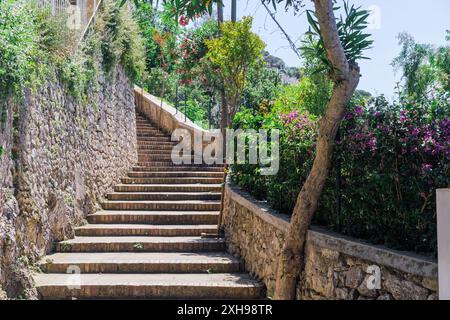 Chemin de marches en pierre entouré de végétation, reliant la ville de Capri avec Marina Grande à l'île de Capri, Italie. Banque D'Images