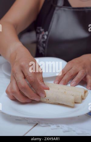 Femme chef préparant des tacos dans sa cuisine, seules ses mains sont vues rouler une tortilla pour faire de délicieux tacos mexicains, vue rapprochée. Banque D'Images