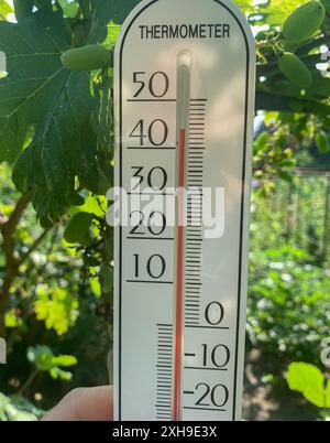 Gros plan d'un thermomètre affichant une température élevée 44, sur fond d'un jardin verdoyant luxuriant. Journée chaude, réchauffement climatique. Banque D'Images