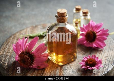 Teinture à base de plantes pour l'immunité dans une bouteille en verre transparent avec des fleurs d'échinacée violettes Banque D'Images