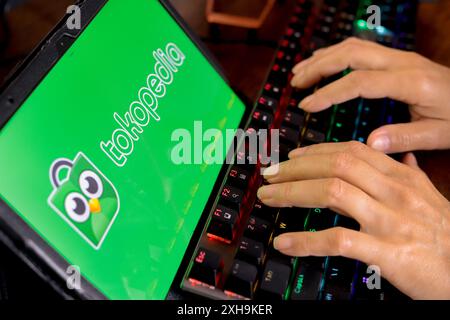 Paraguay. 12 juillet 2024. Dans cette illustration photo, une personne tape à côté du logo Tokopedia affiché sur l'écran d'une tablette. (Photo de Jaque Silva/SOPA images/SIPA USA) *** strictement à des fins éditoriales *** crédit : SIPA USA/Alamy Live News Banque D'Images