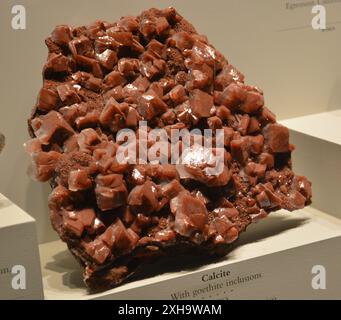 Calcite avec inclusions de goethite avec Smithsonian Natural History Museum 2015, Minerals Exhibition Banque D'Images